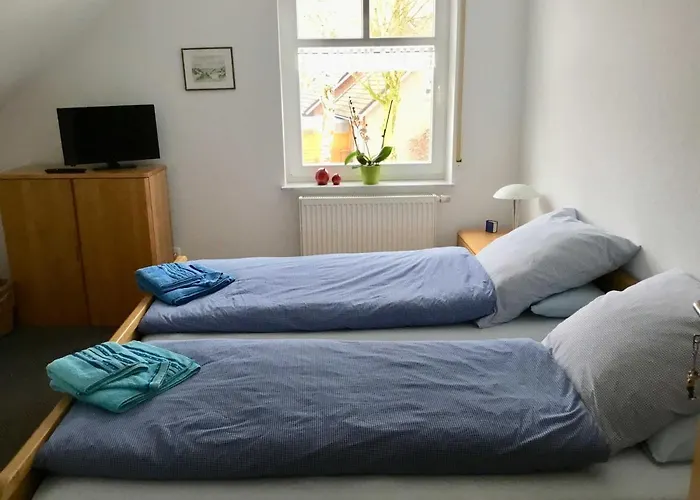 Rossis Nuest, 31516 *